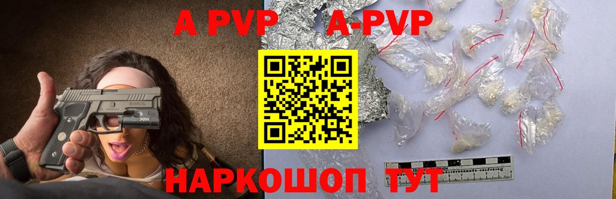 A PVP СК Прокопьевск
