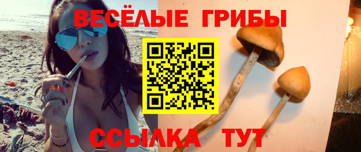 Галлюциногенные грибы ЛСД Прокопьевск