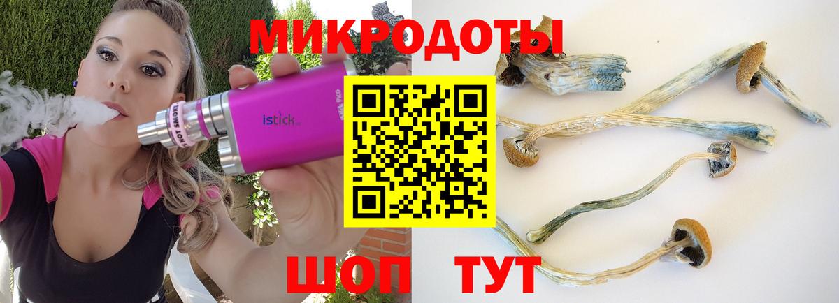 Прокопьевск  Псилоцибиновые грибы Psilocybe  Вход с VPN 